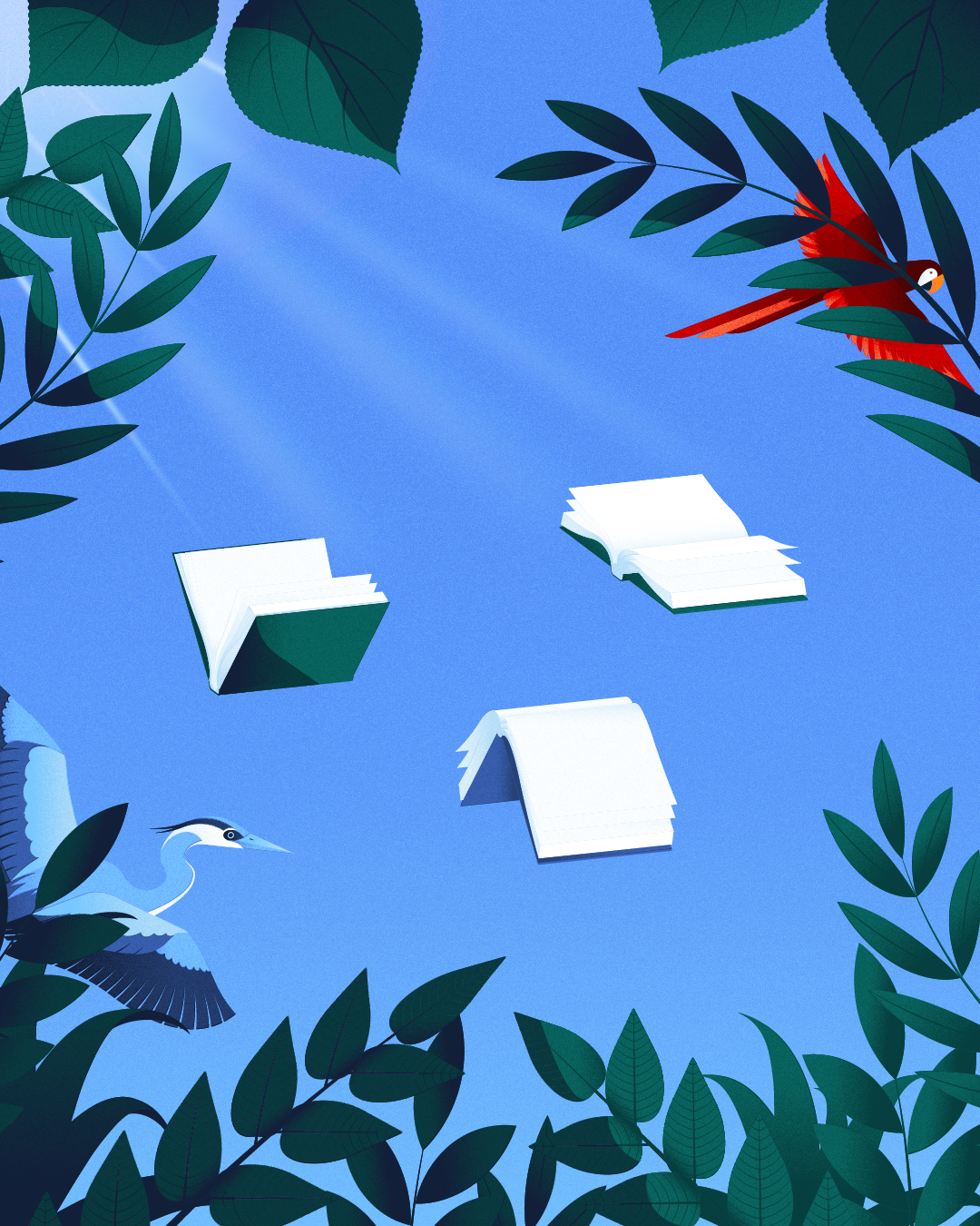 Illustration conceptuelle qui représente des livres qui volent parmis des oiseauz. Illustration éditoriale sur la l'éducation et la biodiversité.